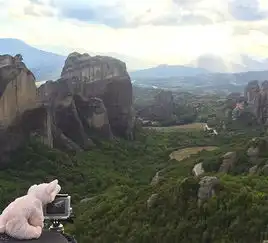 澳男子为寻玩具兔携小猪公仔游世界