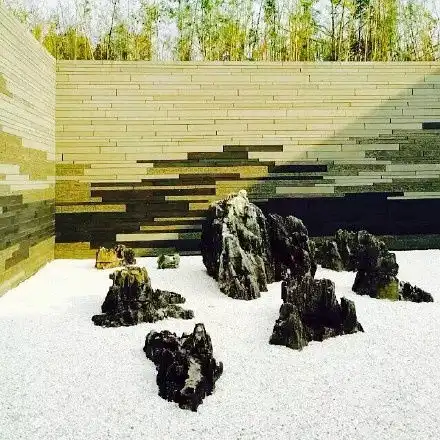 在乌镇