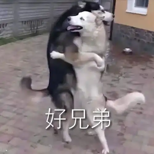 测试一个超长简介的文章