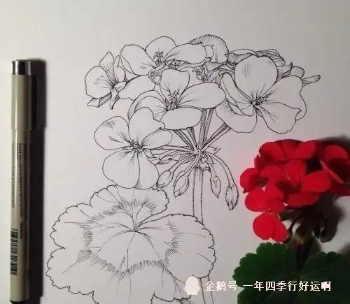 致自己成熟的说说带图片,经典有内涵,句句引人深思