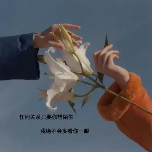 唯美伤感文字图片