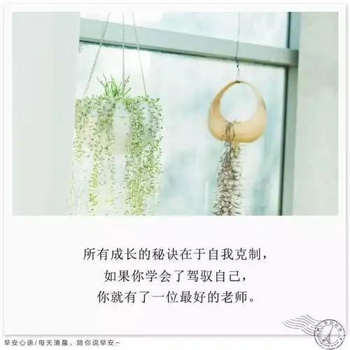 每日励志早安心语早安励志图片带字唯美