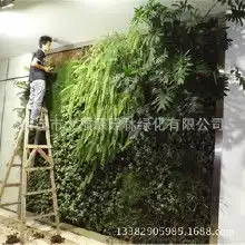 绿化景观用植物价格绿化景观用植物批发绿化景观用植物厂家hc360慧聪网