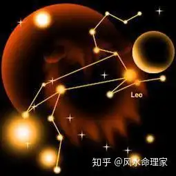 星座双鱼射手