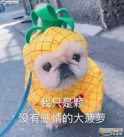 自己垃圾自己带走表情包图片小雪糕都不买你有什么脸说爱我表情包下载乐游网游戏下载