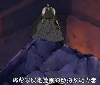 海贼王漫画808话索隆惊现武装色霸气分析觉醒的动物系能力者
