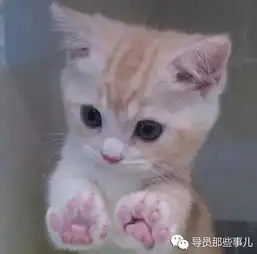 仗义执研