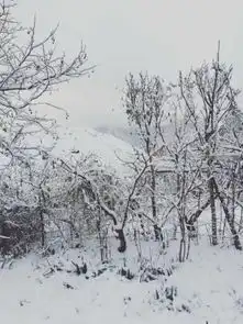窗内春色抹抹,窗外冬意浓浓,皑皑白雪皑皑