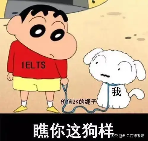 在雅思中明白了哪些规则后,分数开始直线飙升
