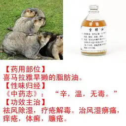 雪猪油西藏旱獭油