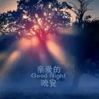 晚安图片大全带字唯美微商励志晚安图片带字正能量