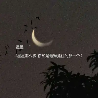 千鹤寓意后来错过也成了人生风景静物头像我要个性网