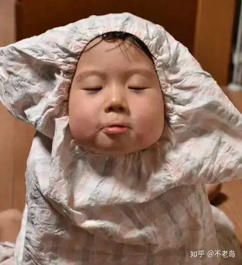 盐水鸡属于哪里的菜系