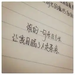 堆糖,美好生活研究所