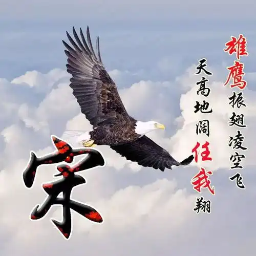 微信头像,天道酬勤雄鹰展翅励志姓氏头像,天高地阔任我翔