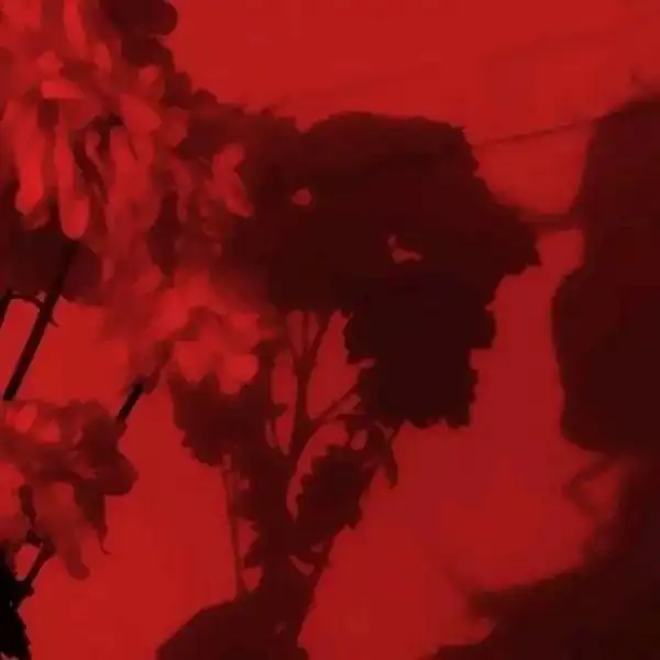 测试一个超长简介的文章