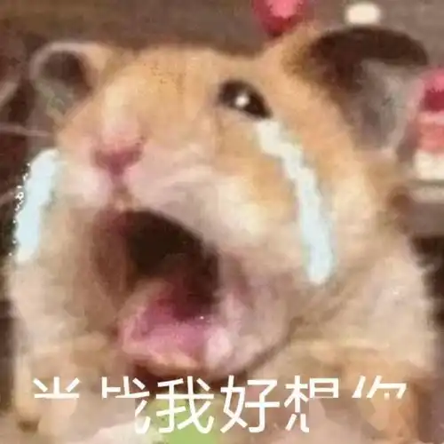 肥虾没有新粮日渐消瘦肖战工作室快交出存粮打发点吧