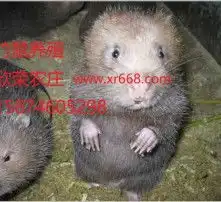 黄页88高清图片
