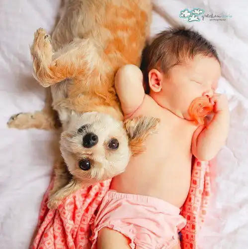 融化人心的照片,感谢你来到这个世界