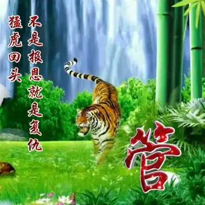 测试一个超长简介的文章