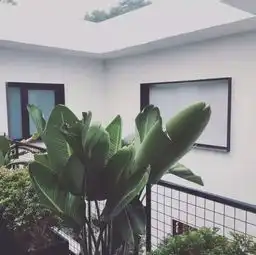 隐藏在帝都的网红自拍圣地,分分钟击中你的少女心
