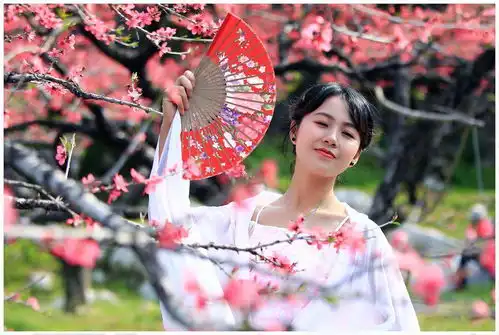 民间故事男子山中采药,救下渡劫狐仙,不久被赠三个娇妻