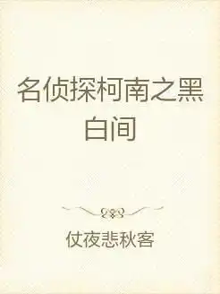 名侦探柯南之黑白间