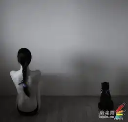 让影像更美用美学的视角拍大片