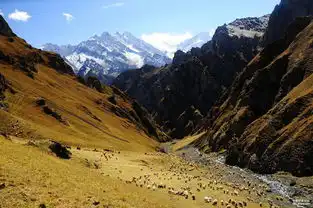 风雪狼c路,云涌河源峰,海量照片带你见证大美狼c,文字整理完毕,1楼,全文完