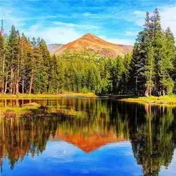 测试一个超长简介的文章