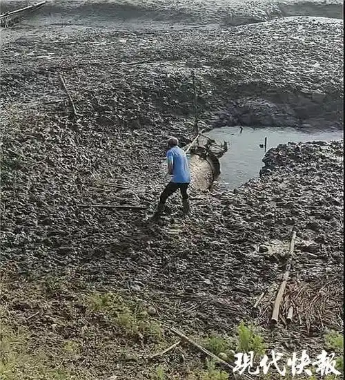 测试一个超长简介的文章