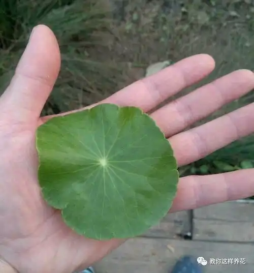 无标题