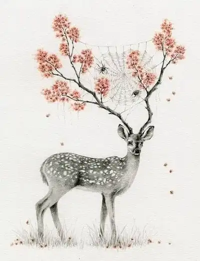 我的收藏