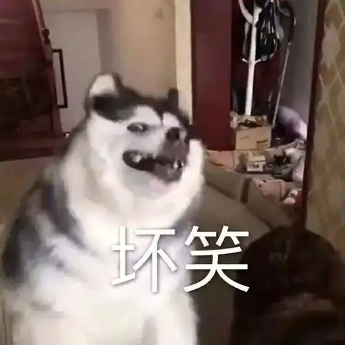 谁说日本留学是亏本生意,读这8个专业,毕业就能拿高薪
