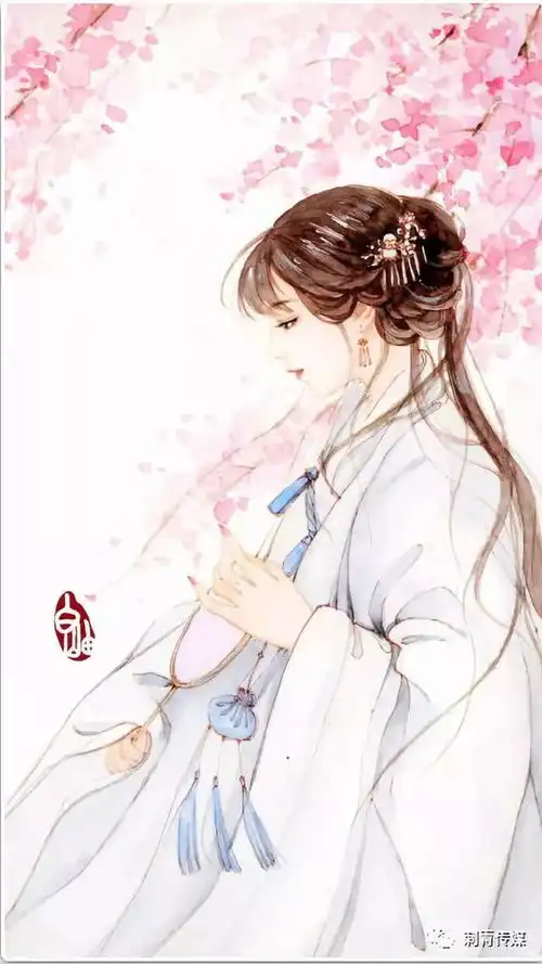 搜狐网