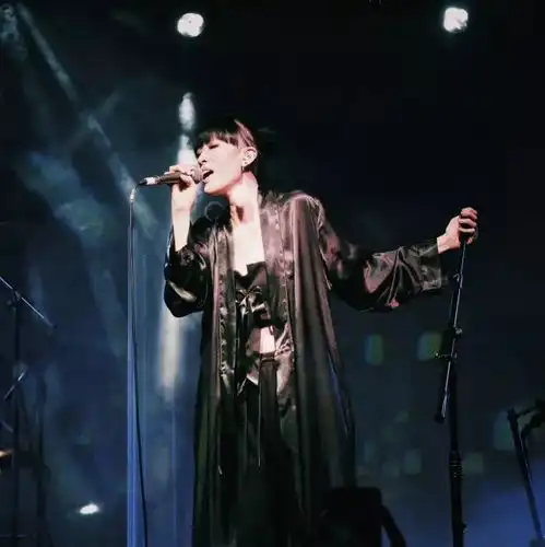我们的孤独闪烁如星,声波浮影荣耀如光陈珊妮6502巡演北京站回顾