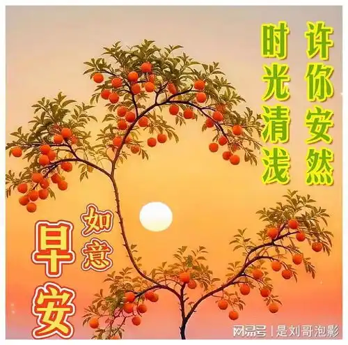 放得下的人,处处都是大道,时时都觉轻松