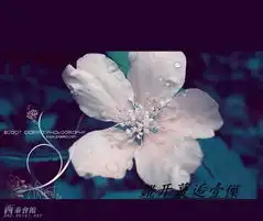 錵开蕞逅壹僷