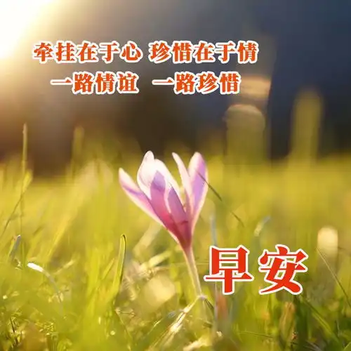 阳光心态的正能量早安问候语,简单快乐的早上好祝福唯美句子