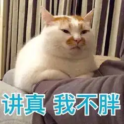 藏肉穿搭法则,显瘦就要这么穿