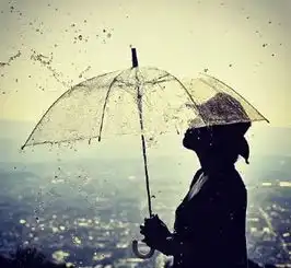 不属于我的伞,我宁愿淋雨