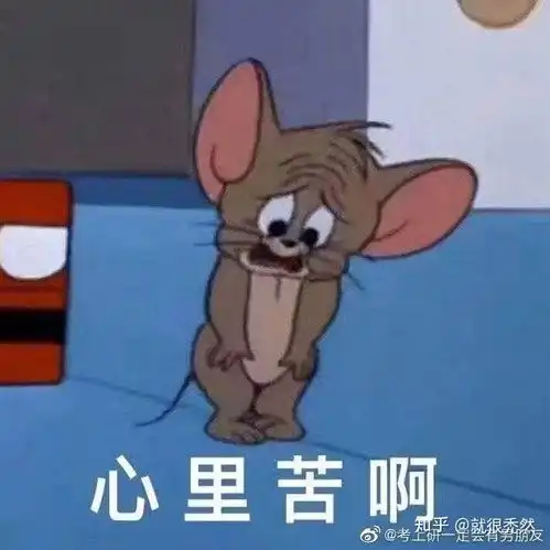 有没有护理自考本科后考研上岸的,现在很迷茫,想听听经验教训