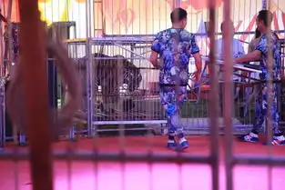 国庆长假不用愁,枫林花海免费旅