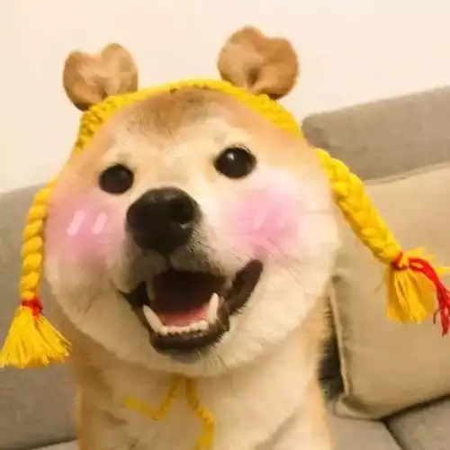 头像篇这个世界本该是好的