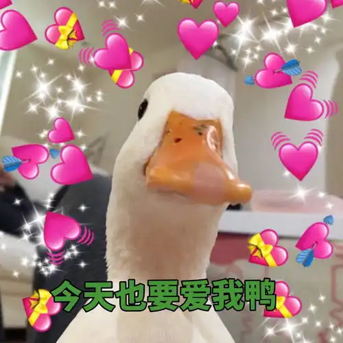 甜收藏夹