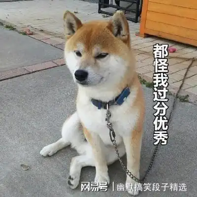 幽默笑话丈母娘今天说孩子应该头朝北睡,脚朝南睡