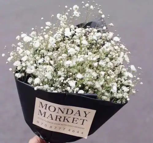 11.22小广说天下花辰月夕