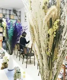 深圳华侨城油画兴趣