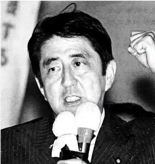 美媒爆惊人消息日本前首相安倍晋三将一名华人女性视为母亲