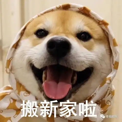 安排上了肥东店埠镇思辰家园启动首轮回迁安置